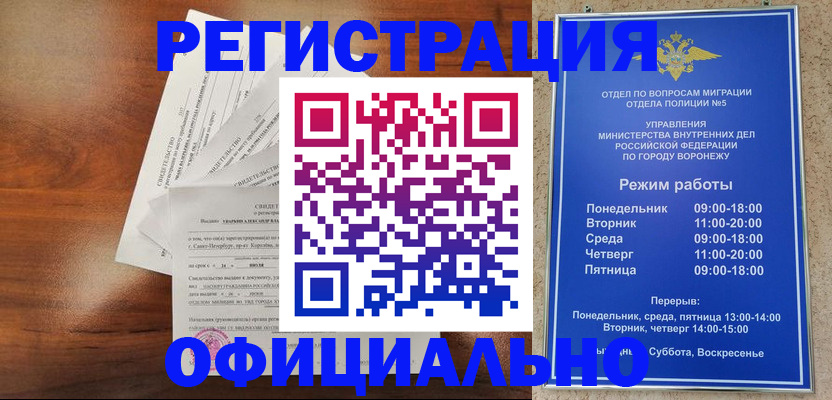 прописка поиск в Людиново